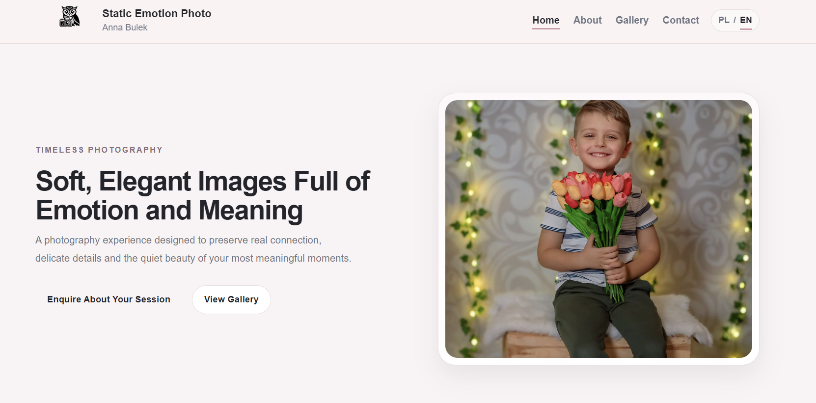 Static Emotion Photo website preview